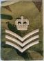 PAGON PAGONY MTP SHOULDER LOOPS COLOUR SERGANT