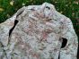 BLUZA SAUDI ROYAL KINGS GUARD REGIMENT PINK DESERT CAMO RARE M LONG - 5